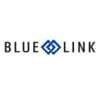 Blue Link ERP